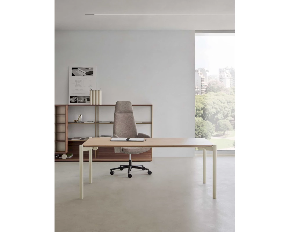 Кабинет руководителя Terra (of)