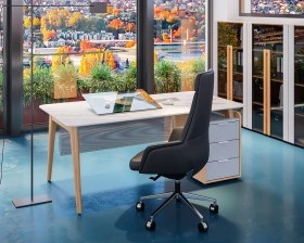 Кабинет руководителя Remo images