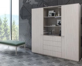 Кабинет руководителя Atlas images