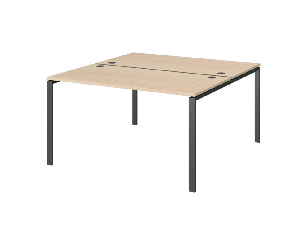 Бенч двойной на 2 рабочих места АМБ-002 Арго-М