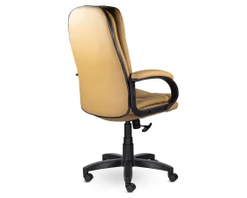 Кресло Дакота СН-251 В пластик 727 images